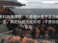 黑料网像排错：先查镜头是不是只给一面，再把标题改成问句（不费劲但管用）